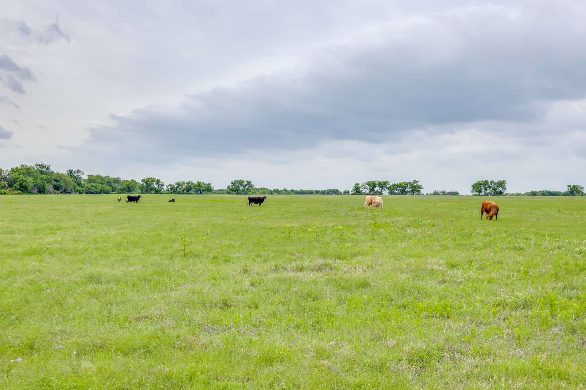 5660A Upper Denton Road Weatherford TX 76085