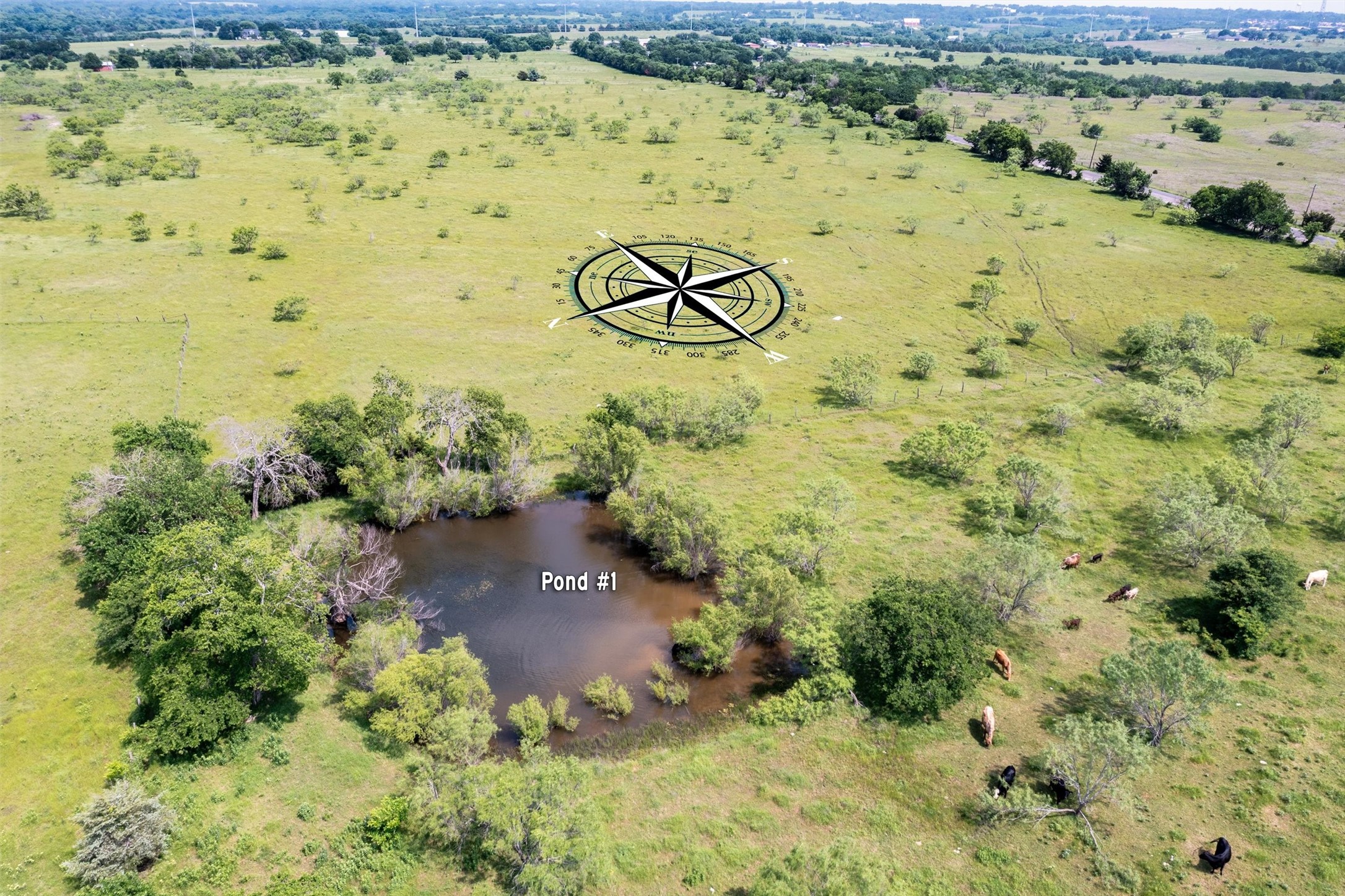 Tbd County Road 613 Farmersville TX 75442