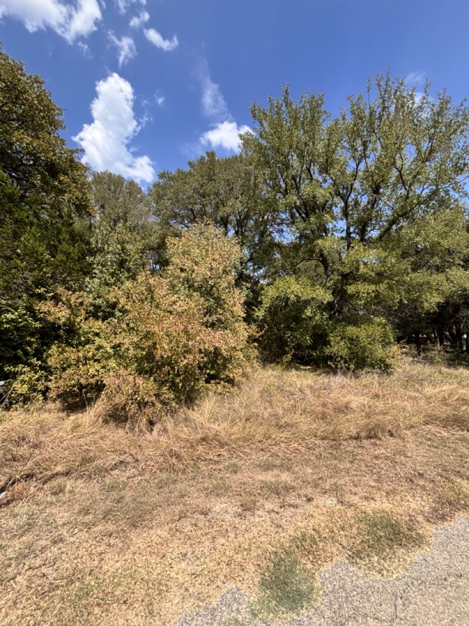 5722 Black Pine Circle Granbury TX 76048