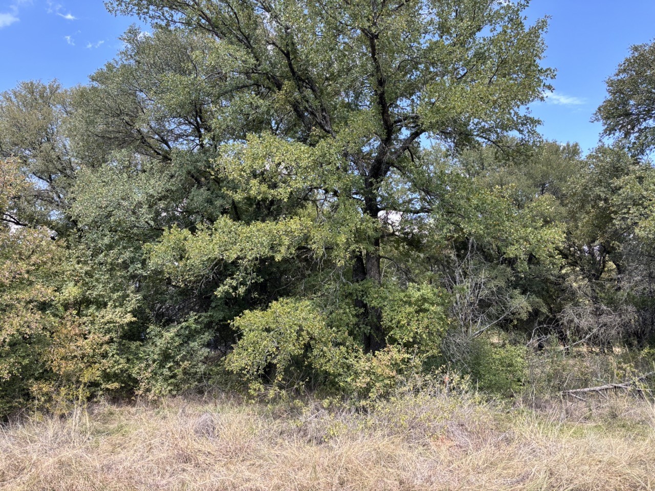 5722 Black Pine Circle Granbury TX 76048