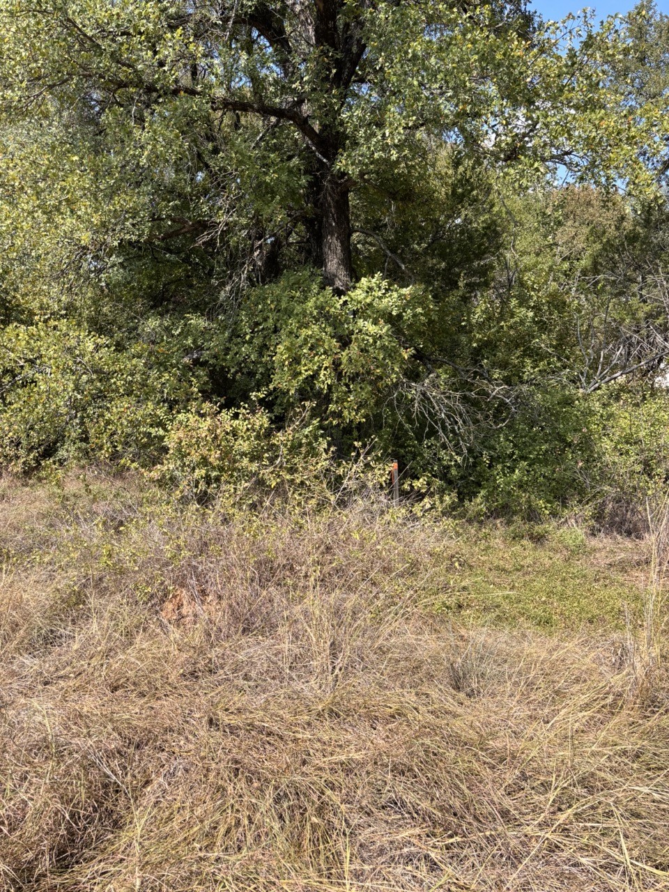 5722 Black Pine Circle Granbury TX 76048