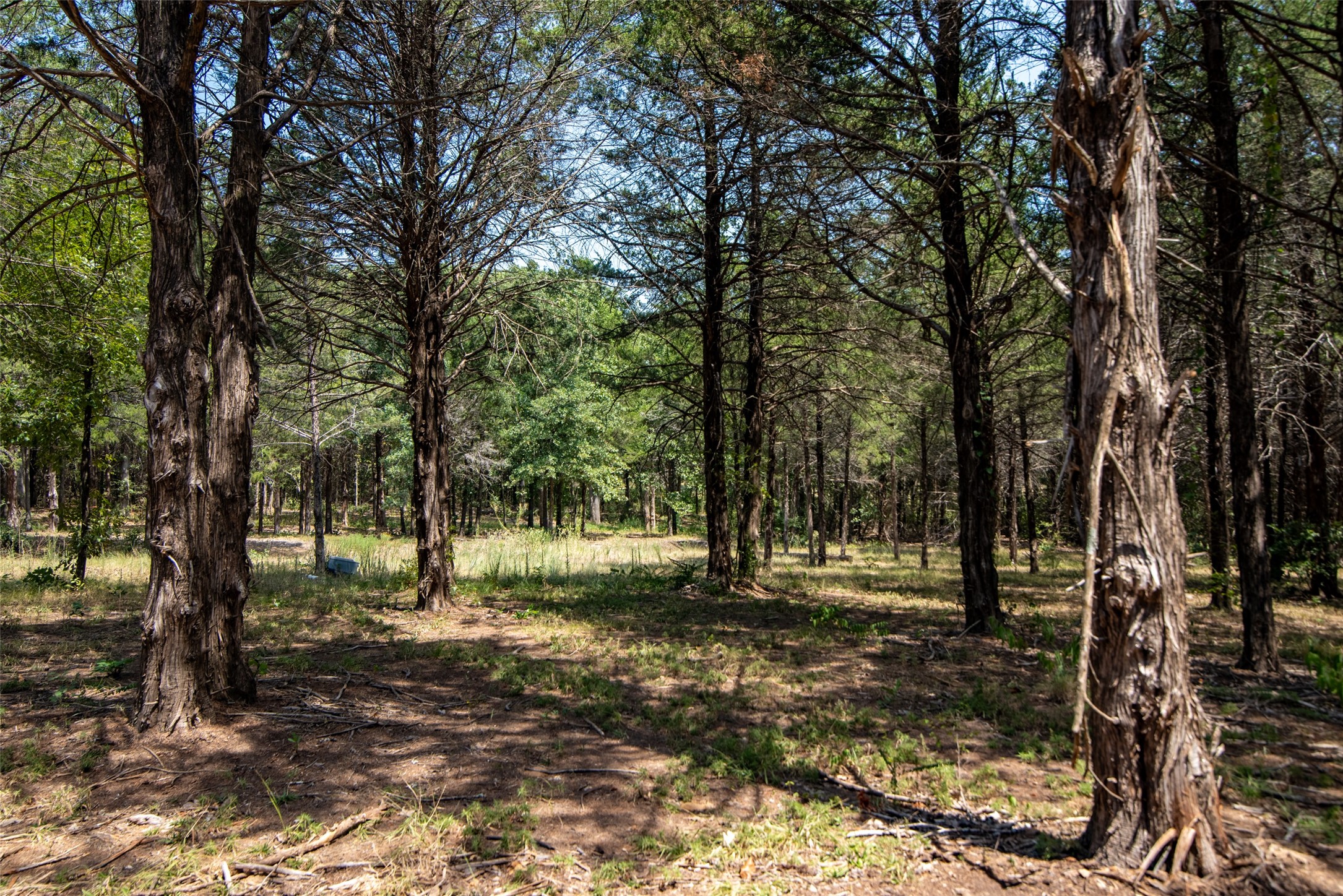 980 Us Highway 69 Denison TX 75021