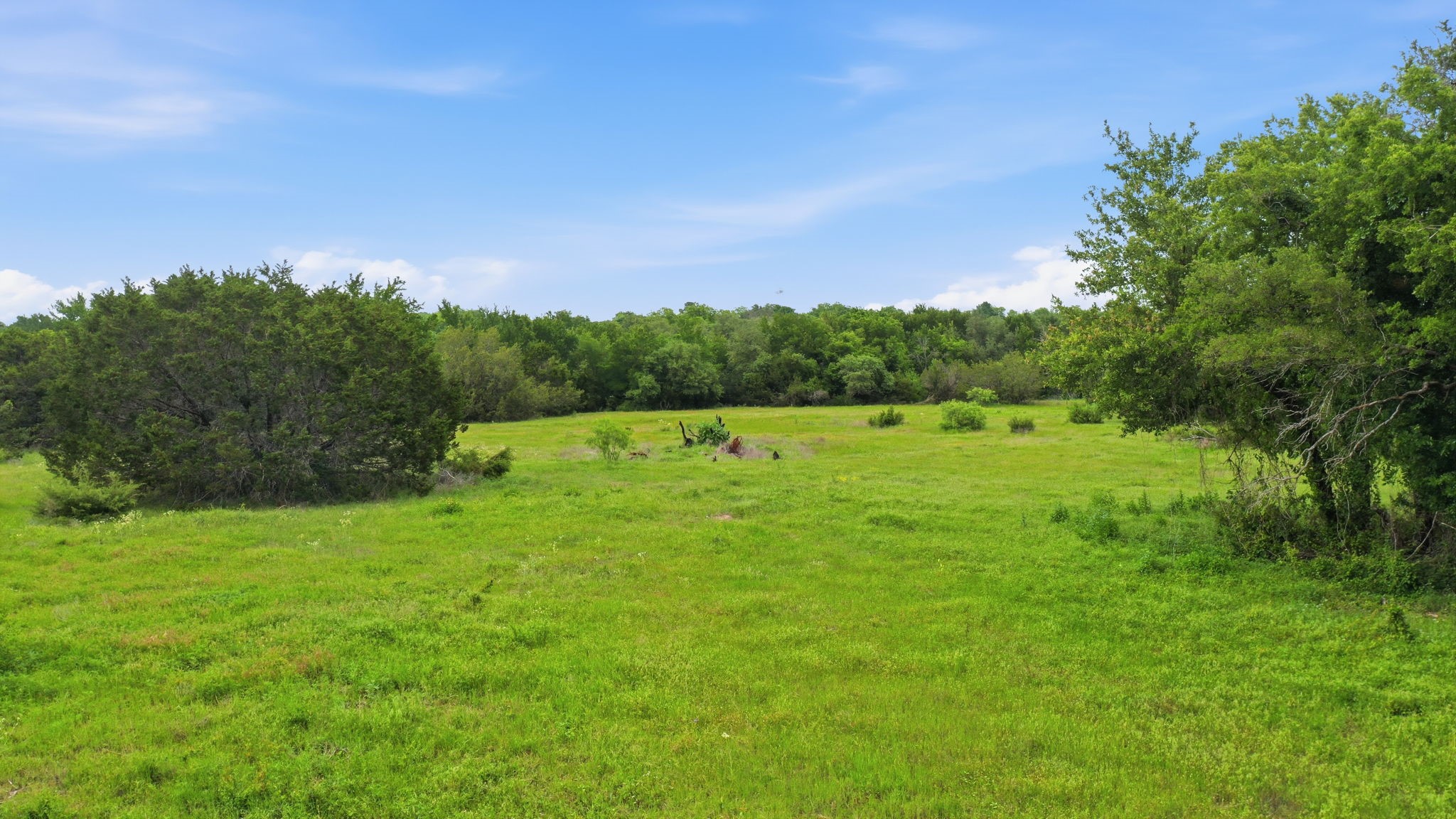 500 W 7th Street Tolar TX 76476