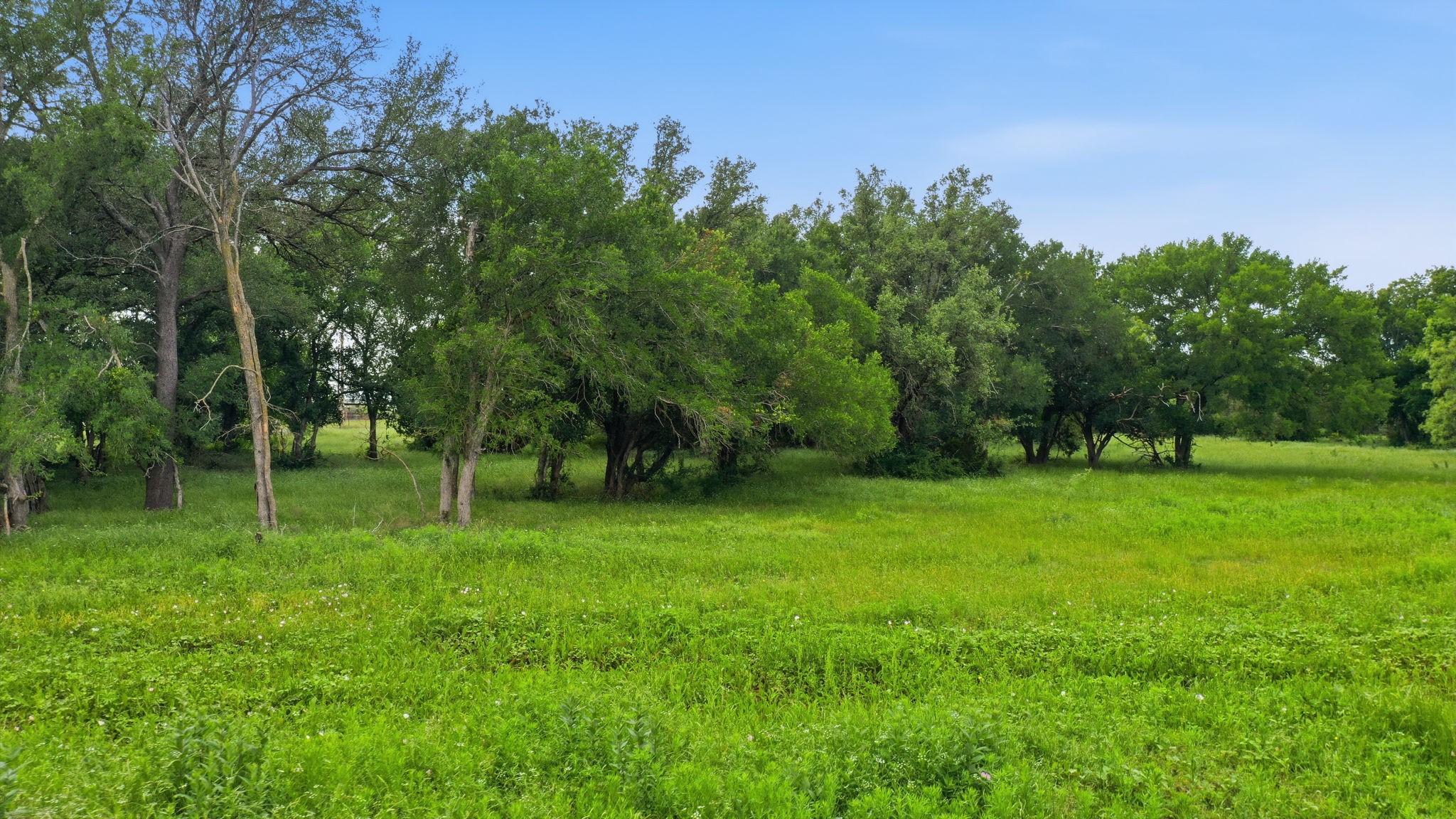 500 W 7th Street Tolar TX 76476