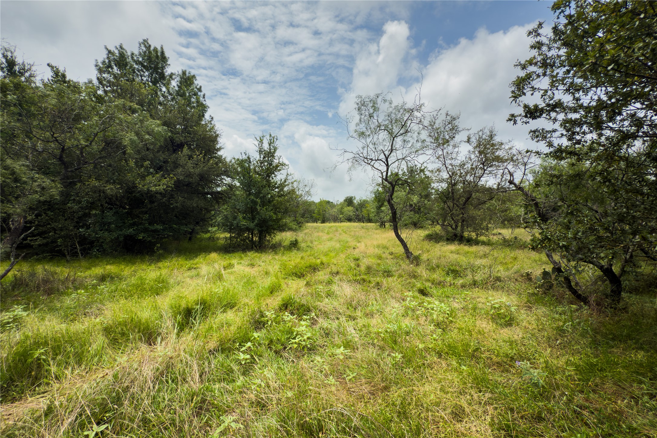 Lot 8 County Road 173 Marlin TX 76661