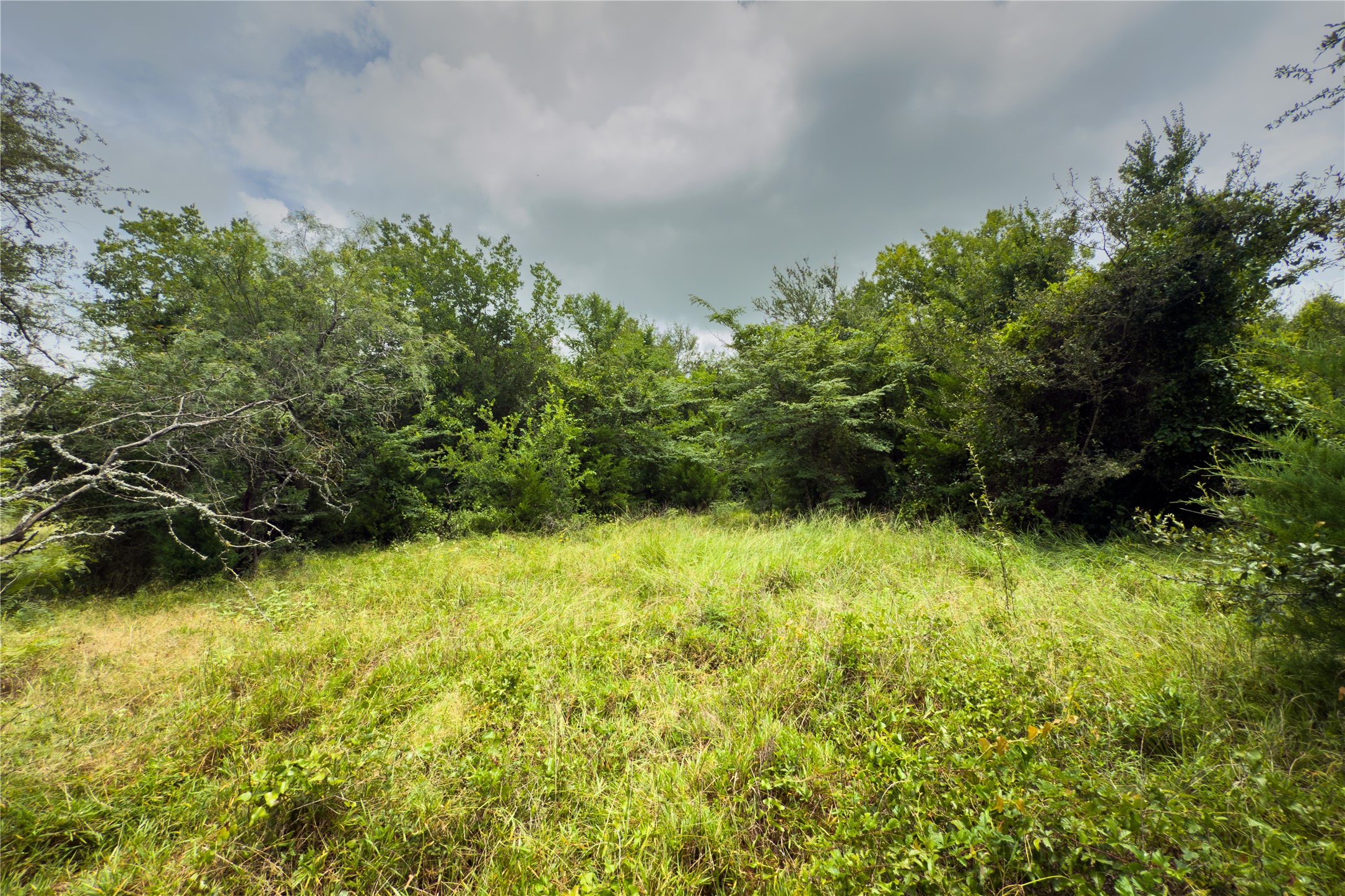 Lot 8 County Road 173 Marlin TX 76661