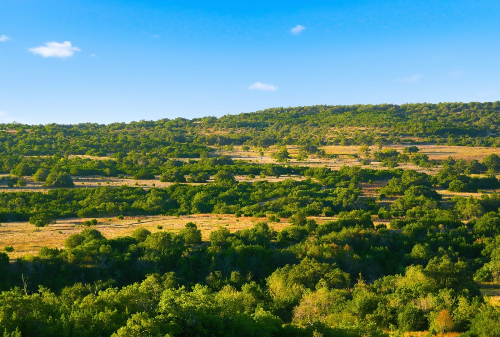 Dripping Springs TX 78620