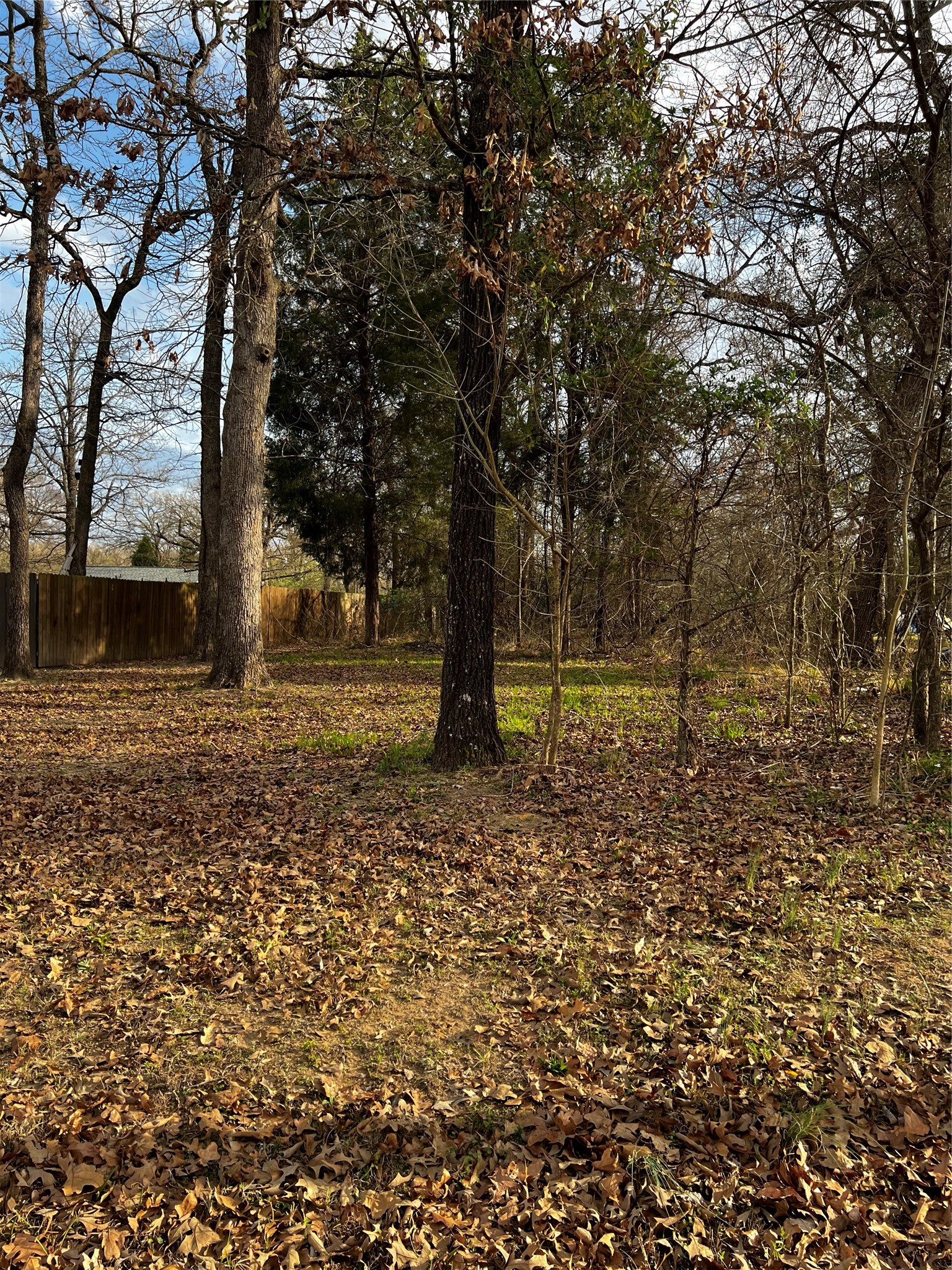 0 West Travis Lane W Log Cabin TX 75148