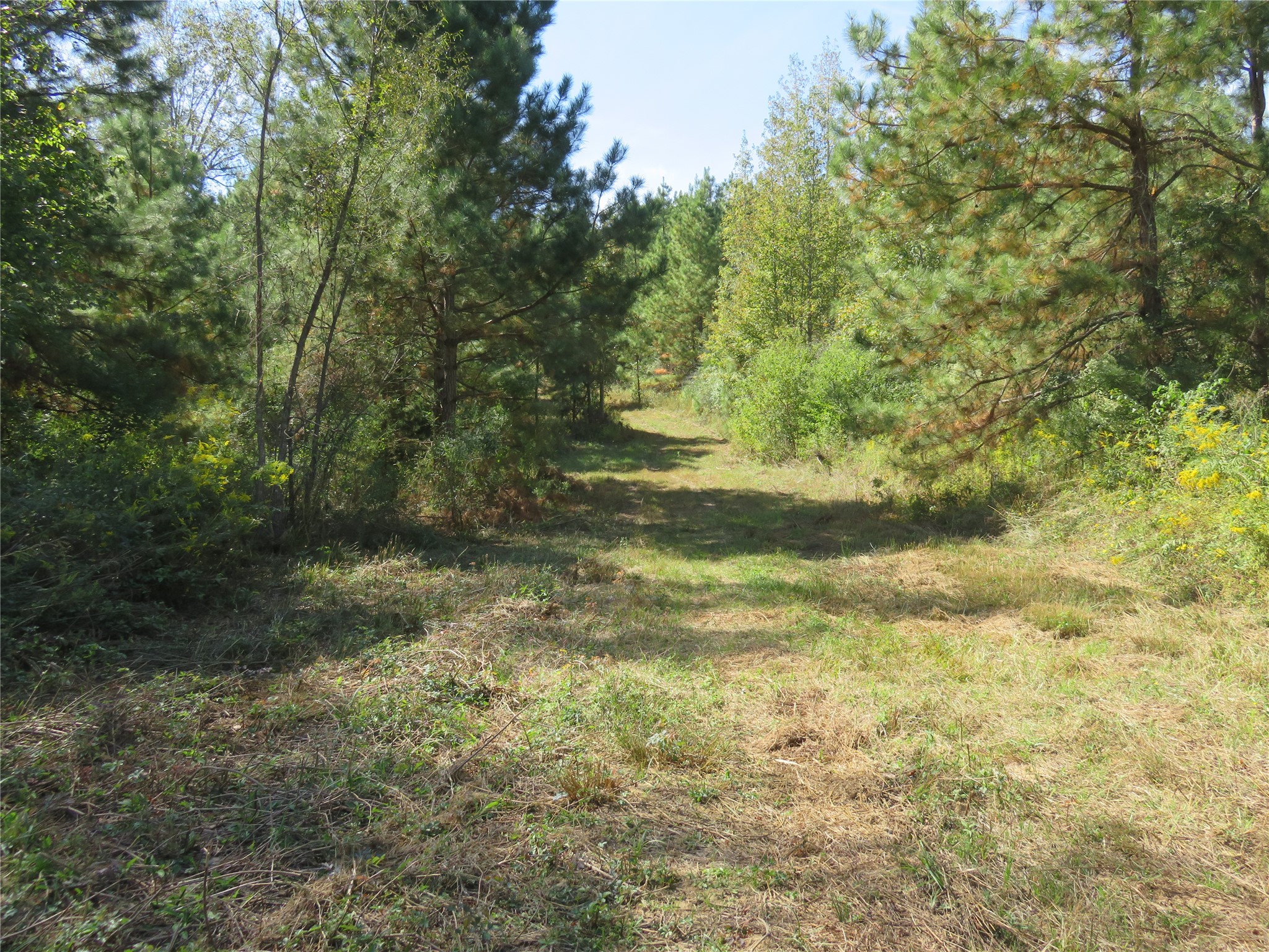 21471 N Fm 95 Garrison TX 75946