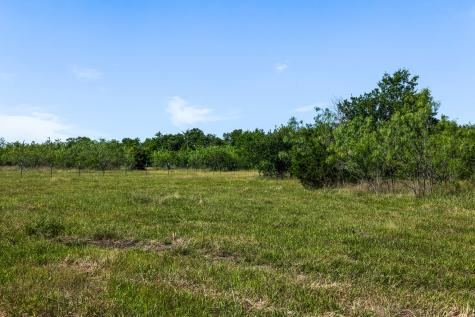 Tract 3 Tbd Lcr 392 Groesbeck TX 76642
