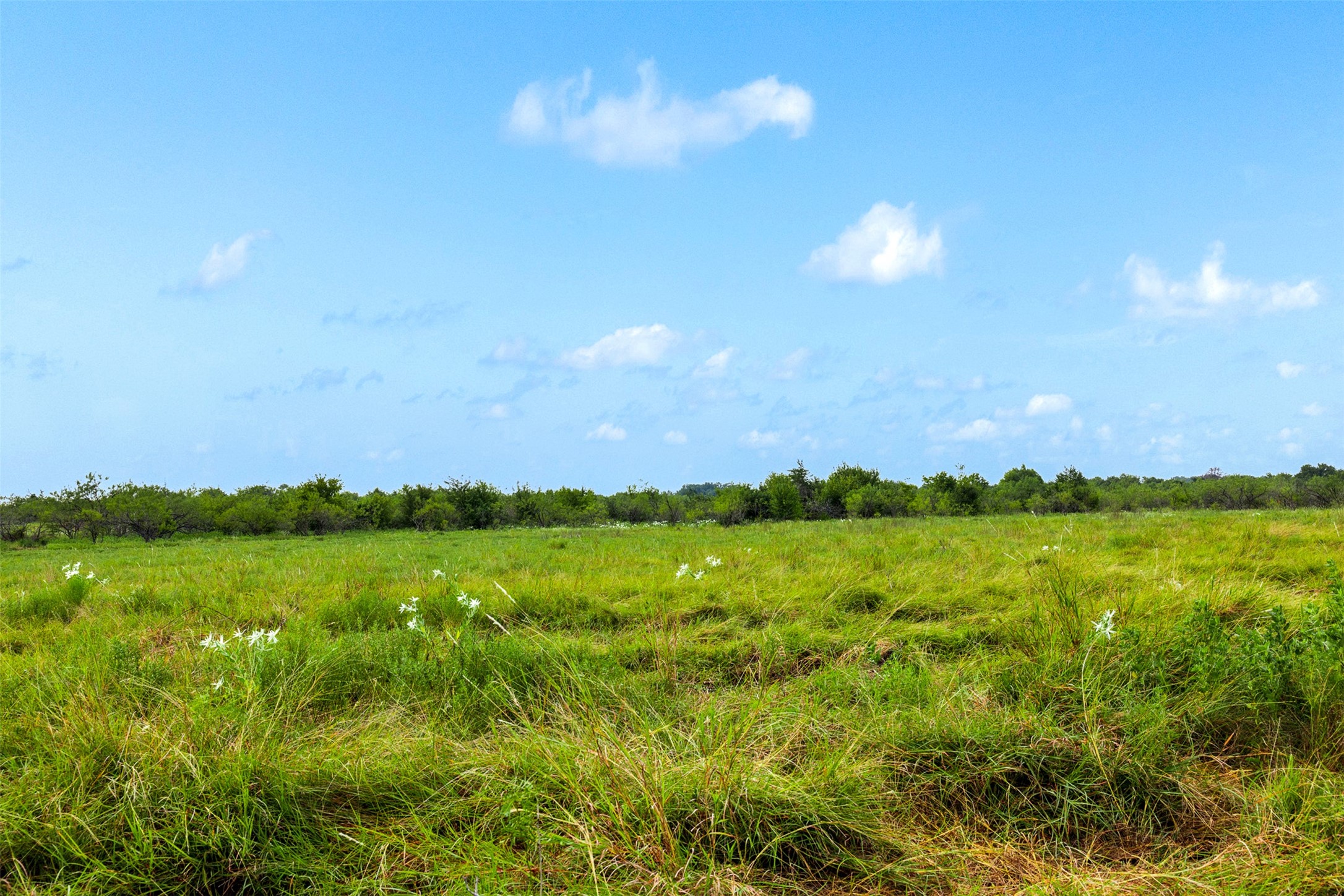 Tract 3 Tbd Lcr 392 Groesbeck TX 76642