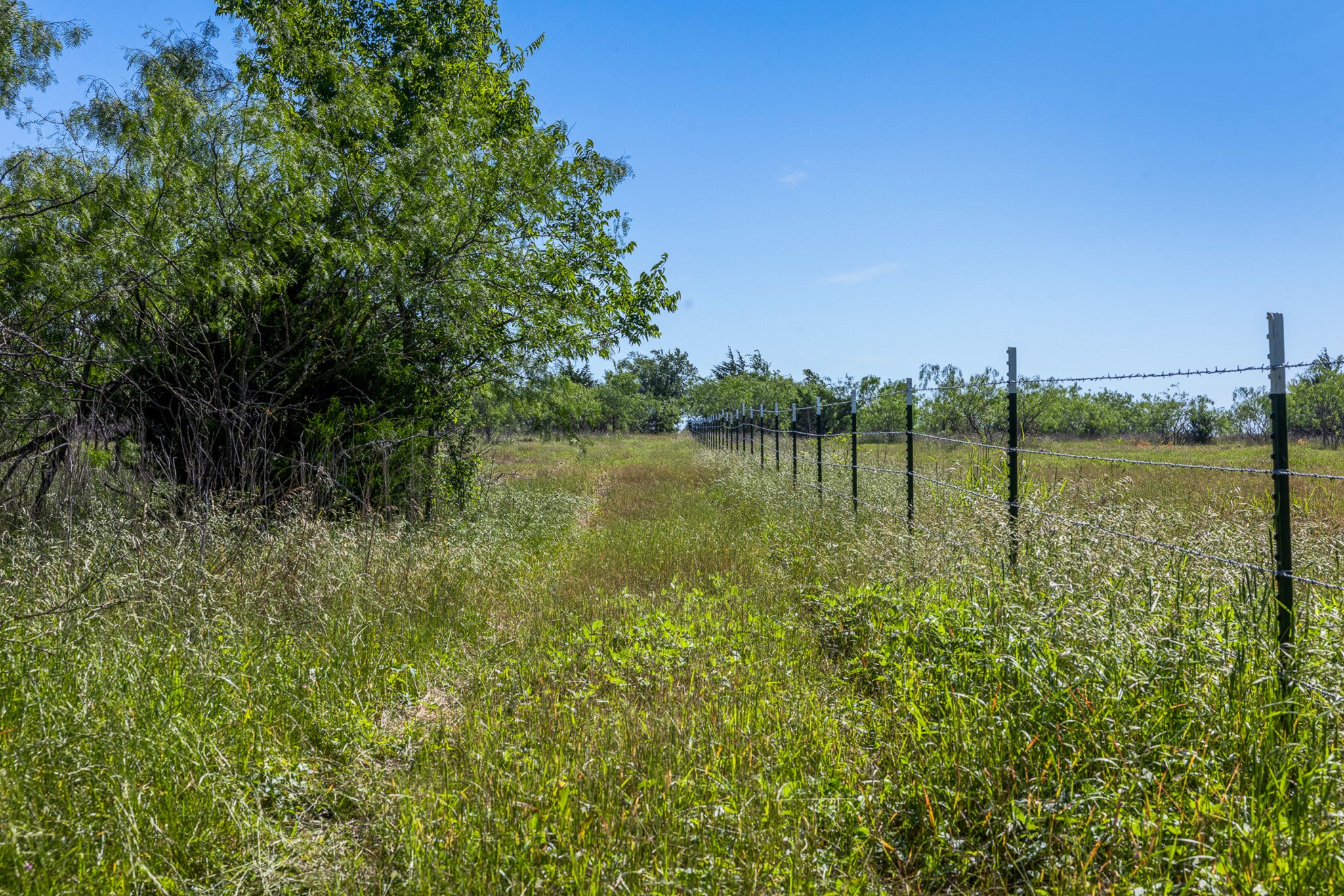 Tract 3 Tbd Lcr 392 Groesbeck TX 76642