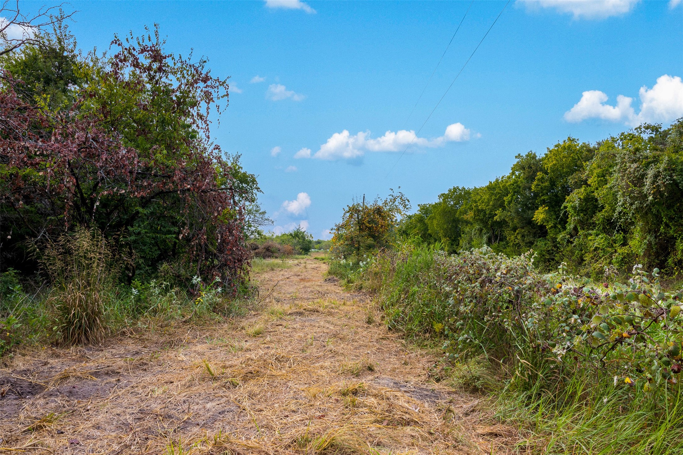 Tract 3 Tbd Lcr 392 Groesbeck TX 76642
