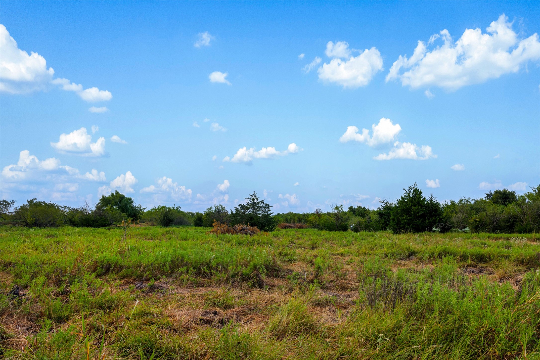 Tract 3 Tbd Lcr 392 Groesbeck TX 76642