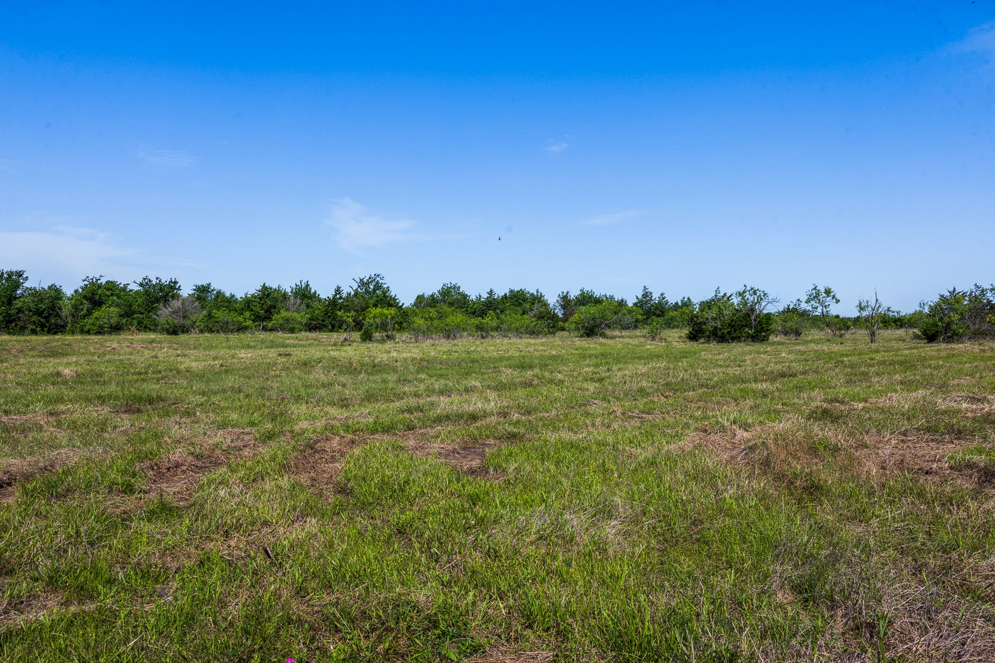 Tract 3 Tbd Lcr 392 Groesbeck TX 76642
