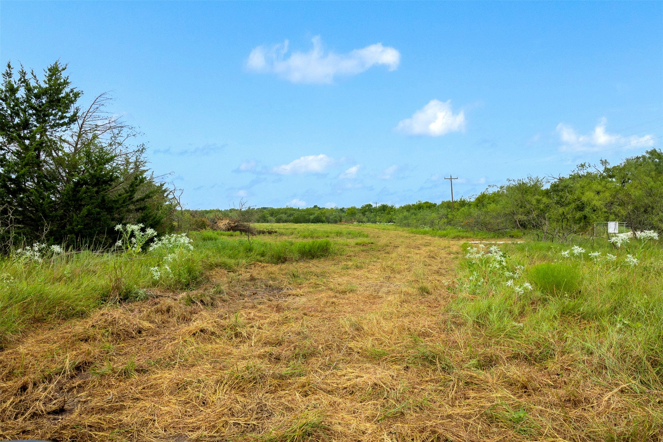 Tract 3 Tbd Lcr 392 Groesbeck TX 76642