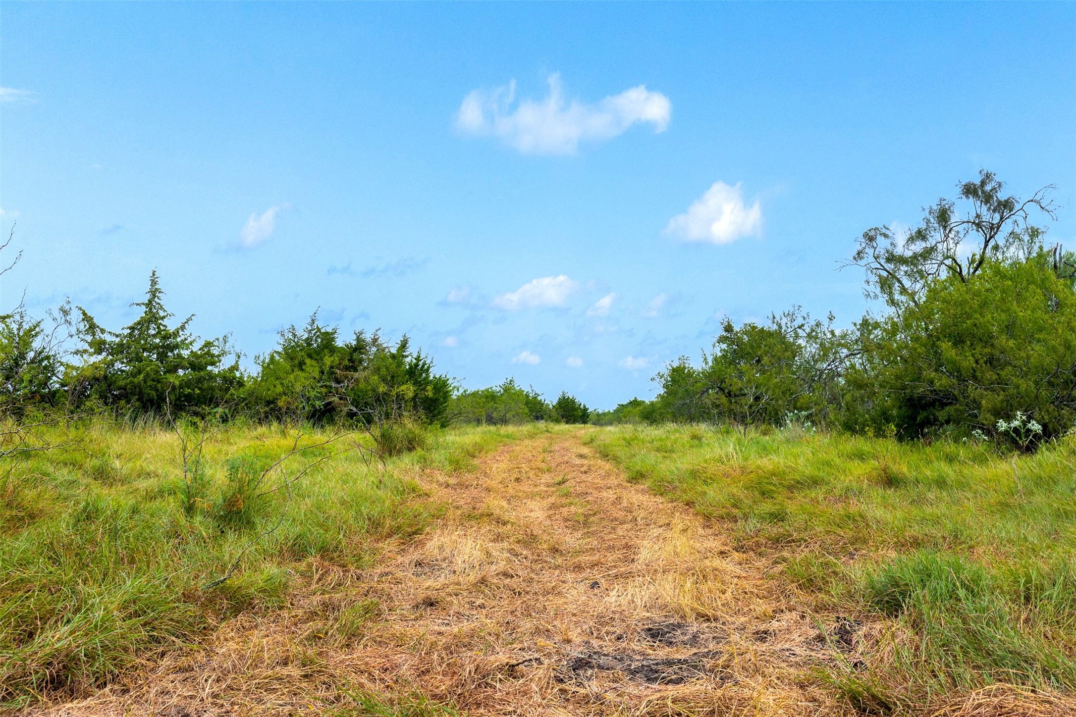 Tract 3 Tbd Lcr 392 Groesbeck TX 76642