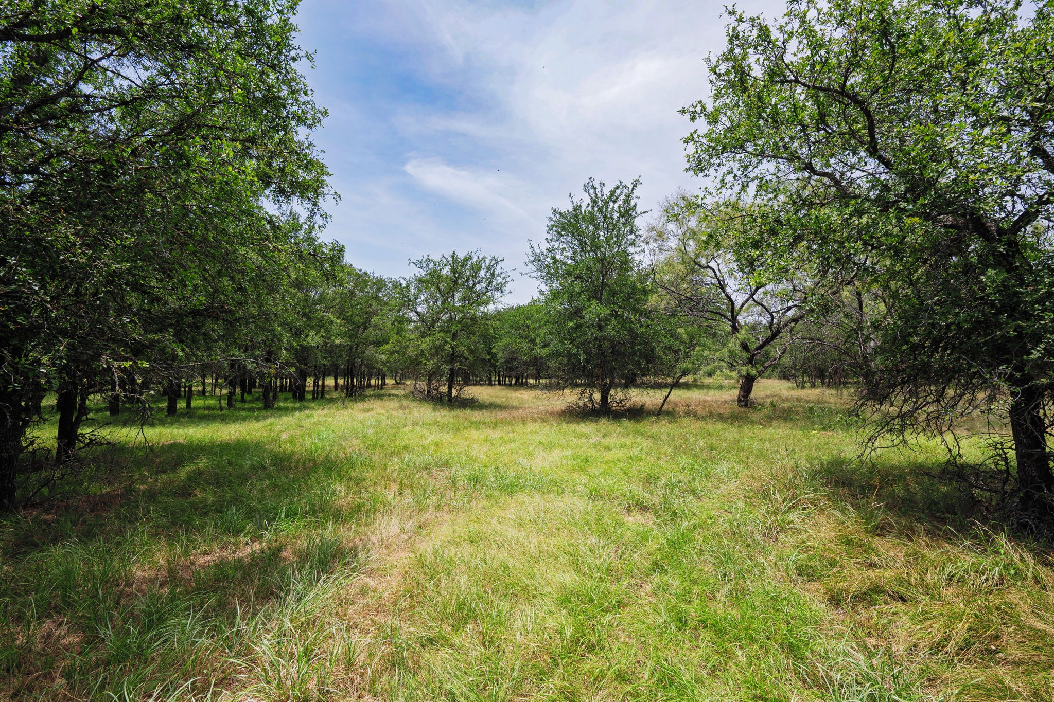 26.02 Ac N Fm 129 Santo TX 76472