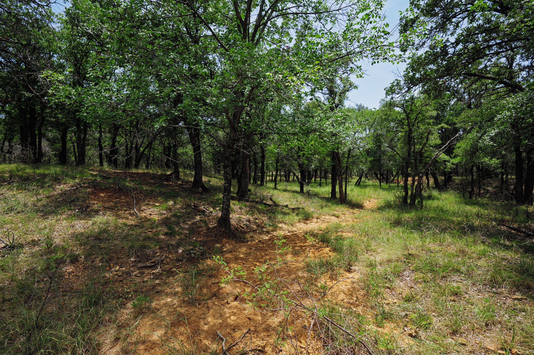 26.02 Ac N Fm 129 Santo TX 76472