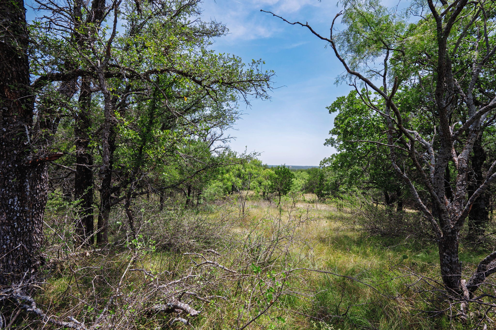 26.02 Ac N Fm 129 Santo TX 76472