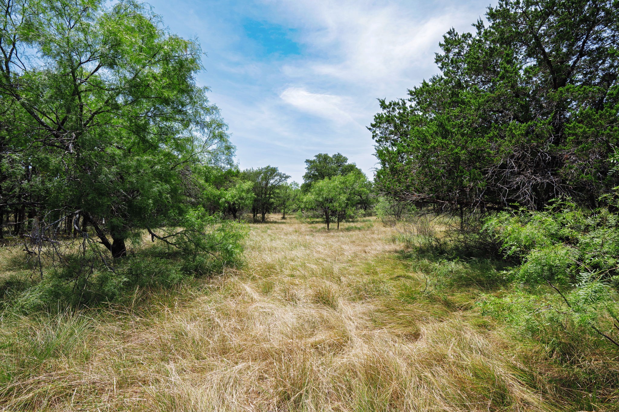 26.02 Ac N Fm 129 Santo TX 76472