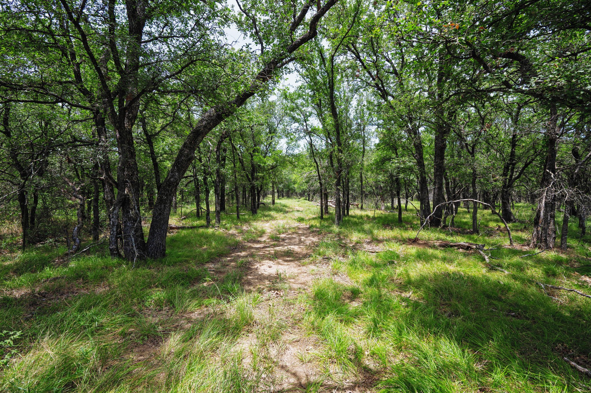 26.02 Ac N Fm 129 Santo TX 76472