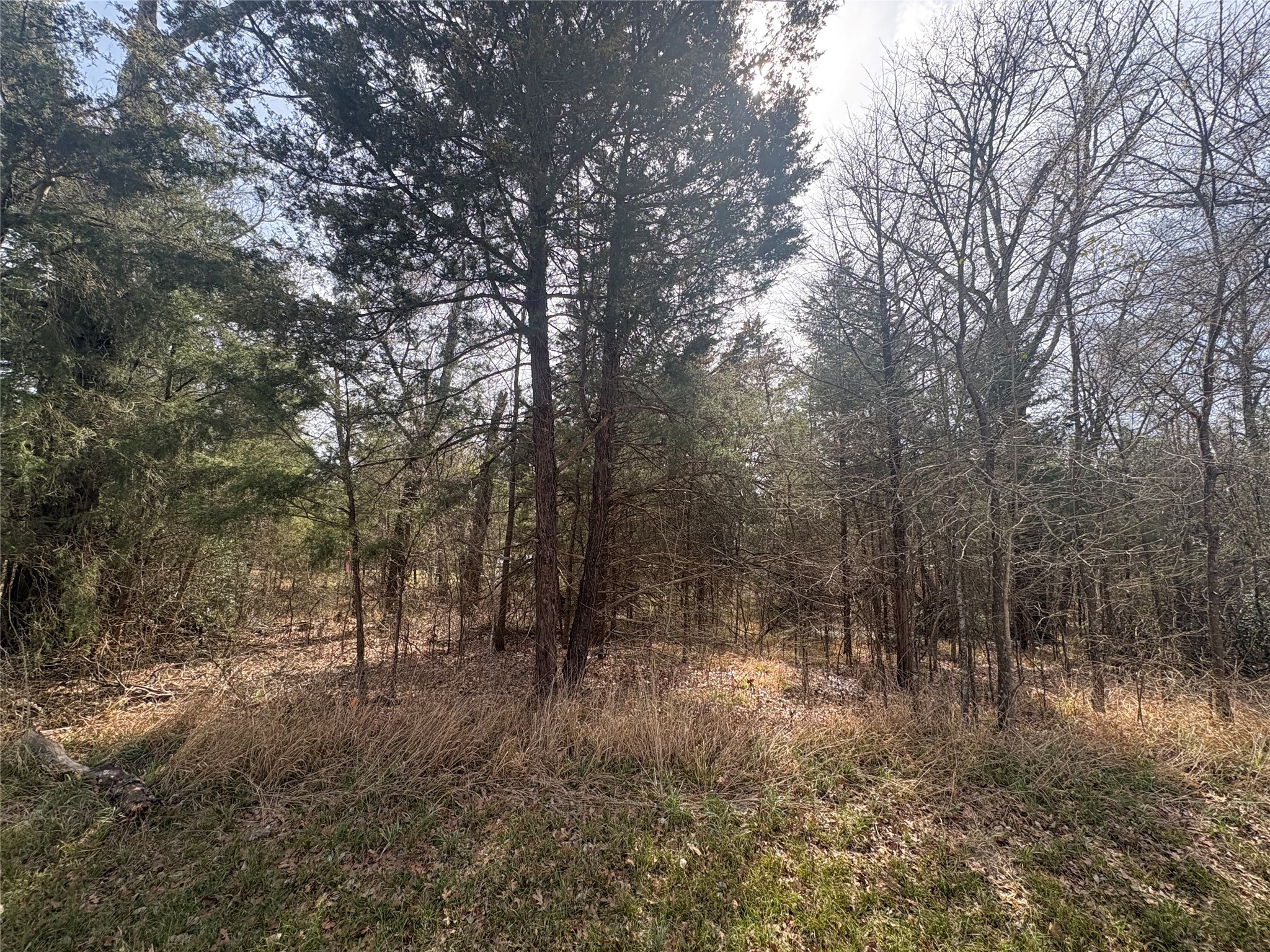 0000 Beachwood Drive Trinidad TX 75163