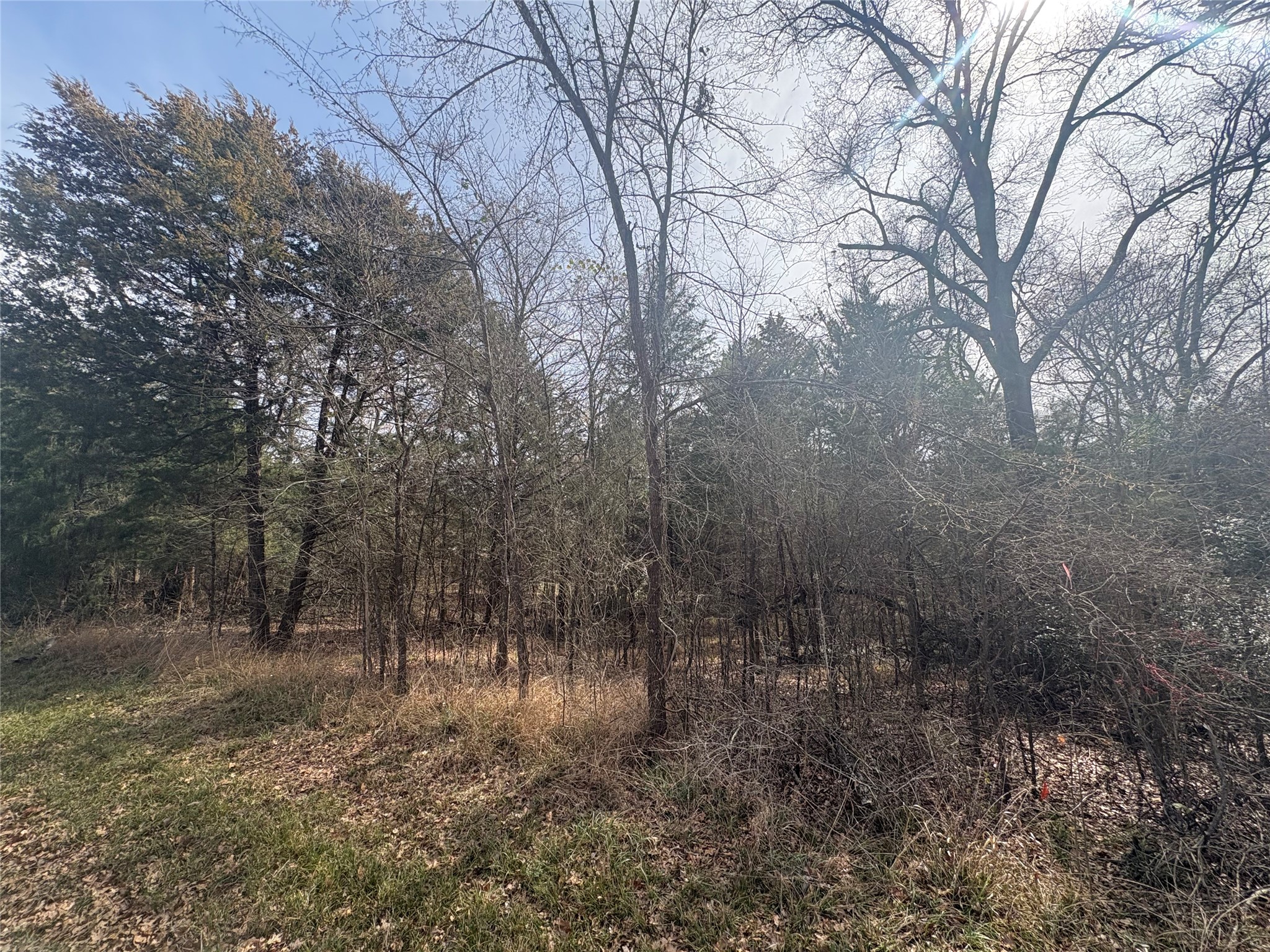 0000 Beachwood Drive Trinidad TX 75163