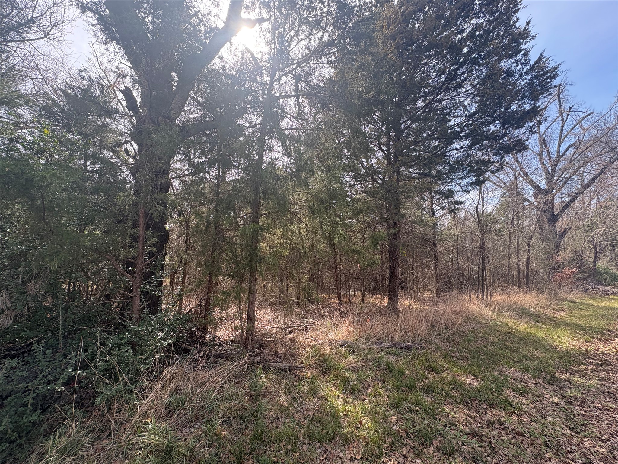 0000 Beachwood Drive Trinidad TX 75163