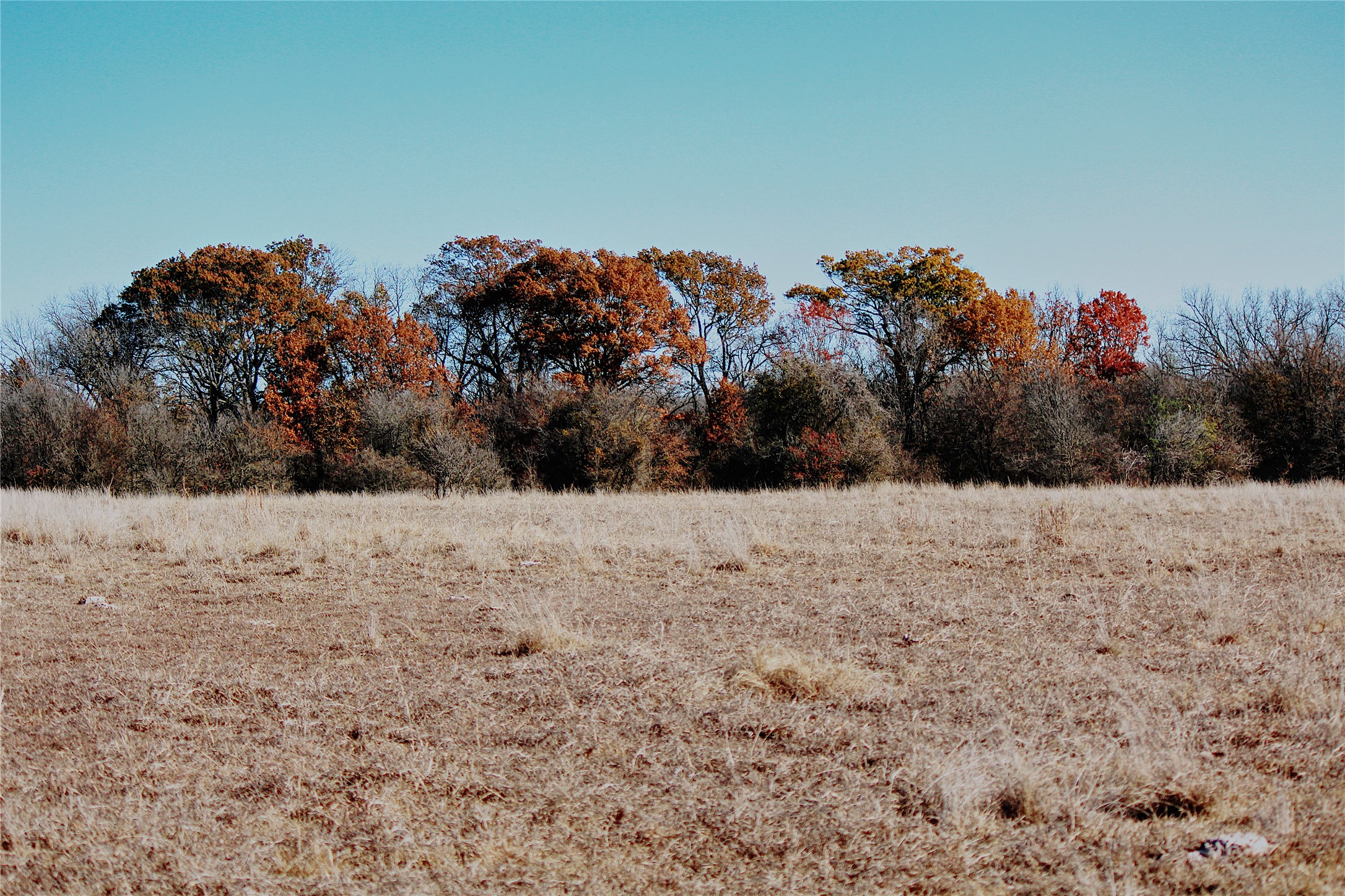 Fm 934 Fm-934 Itasca TX 76055