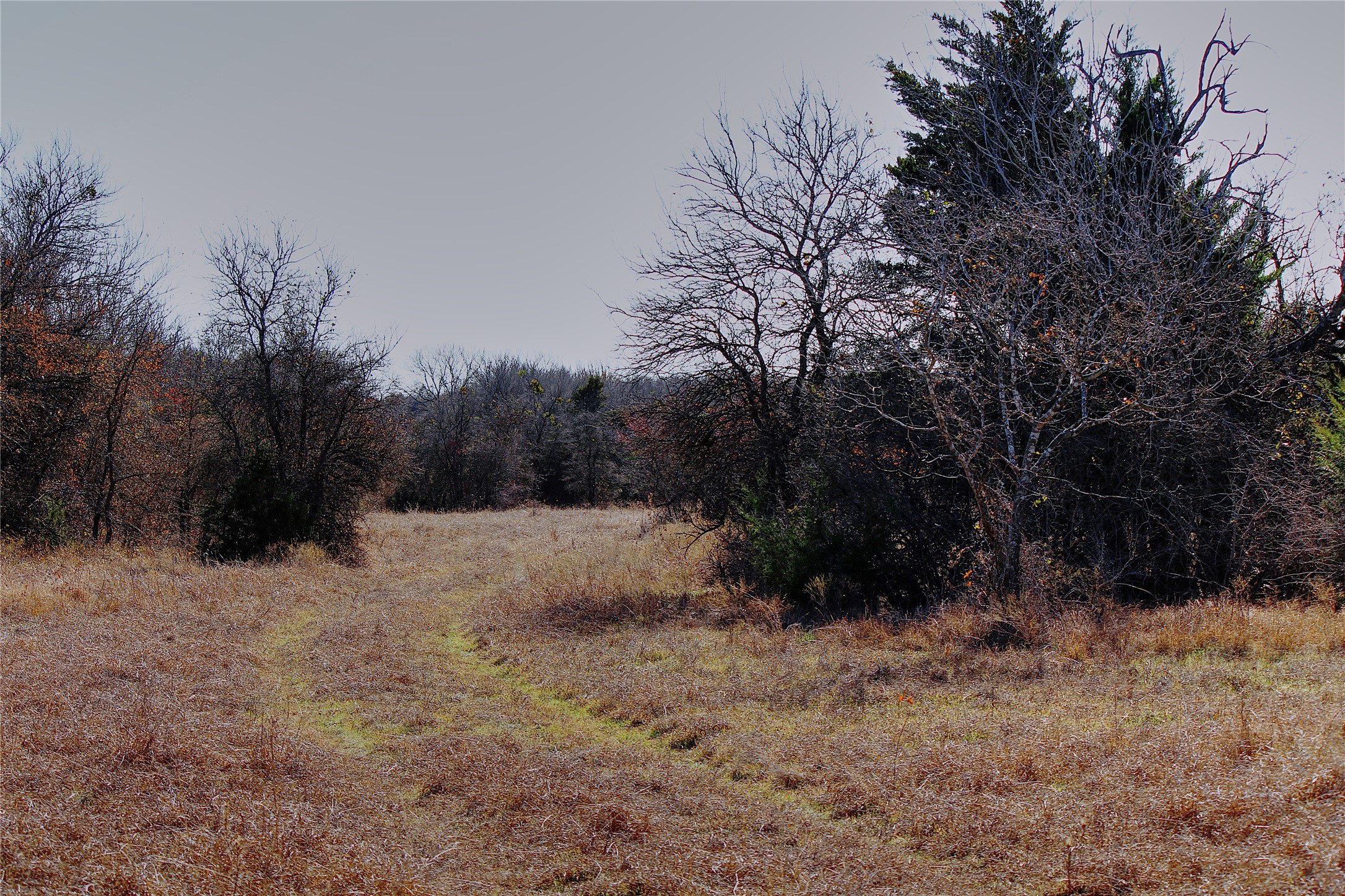 Fm 934 Fm-934 Itasca TX 76055