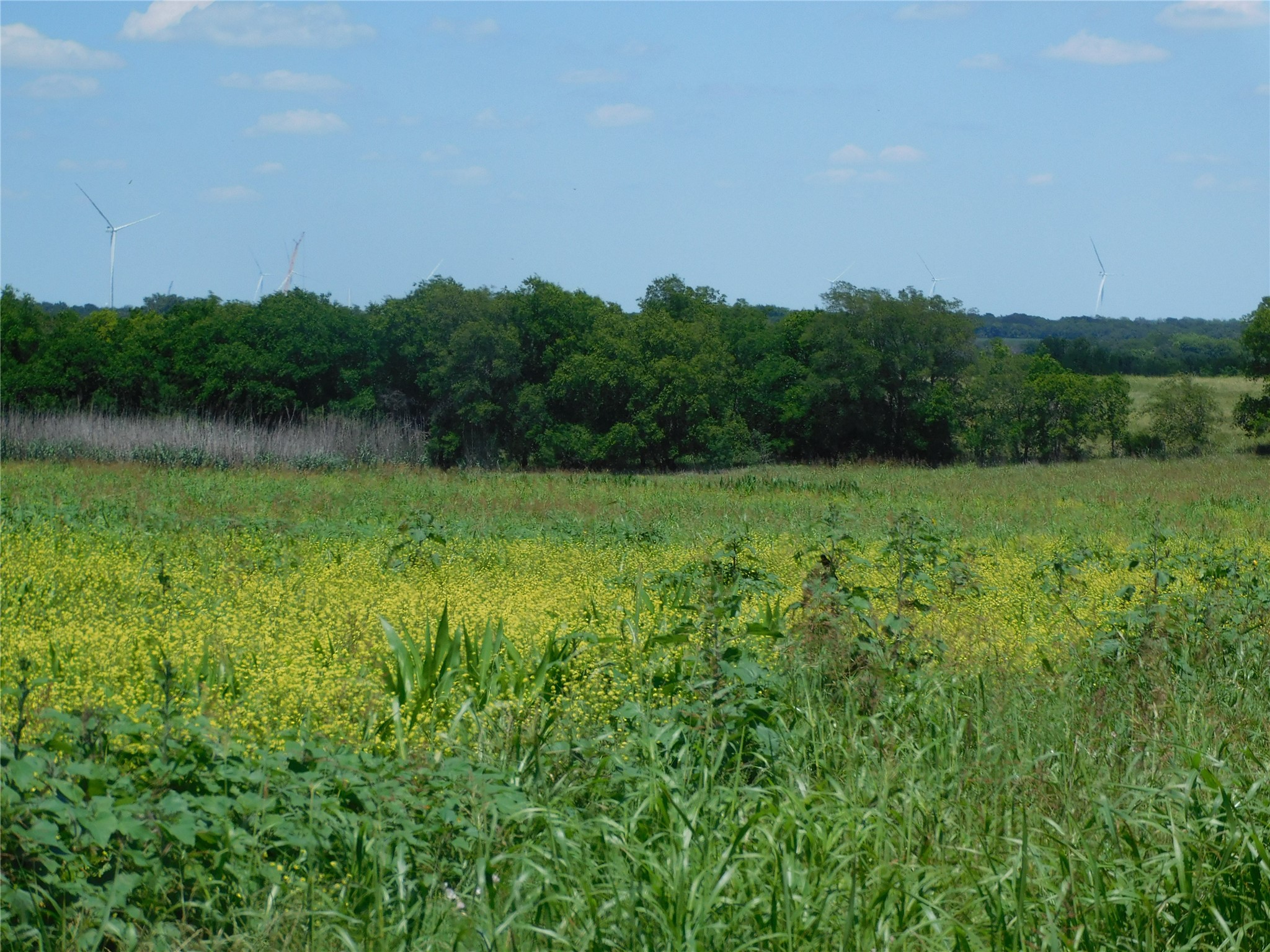 1110 E Hcr 3424 Road E Malone TX 76660
