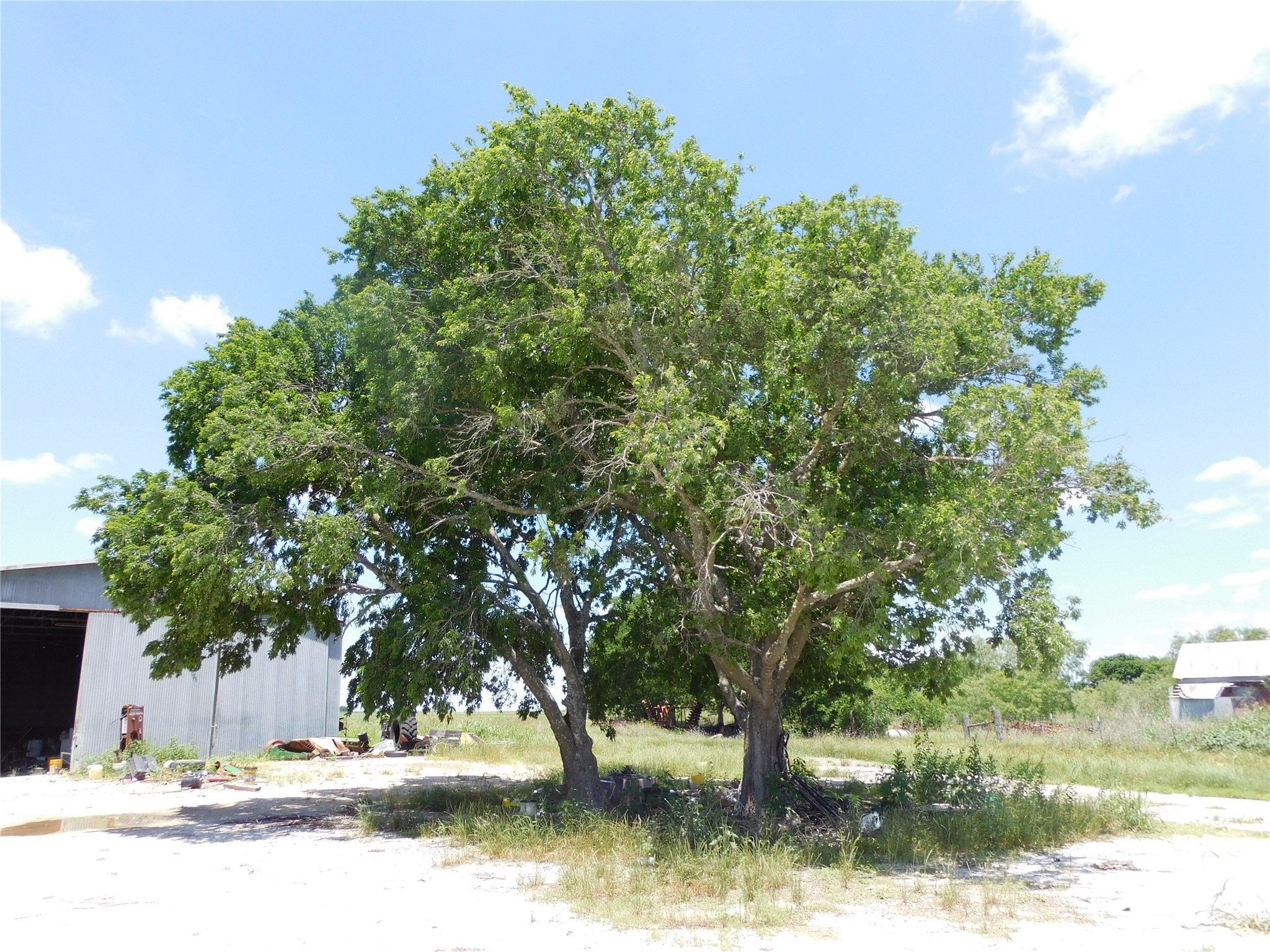 1110 E Hcr 3424 Road E Malone TX 76660