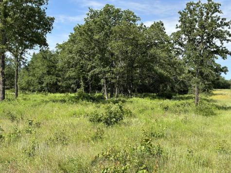 Lot 79 Paradise Oaks Perrin TX 76486