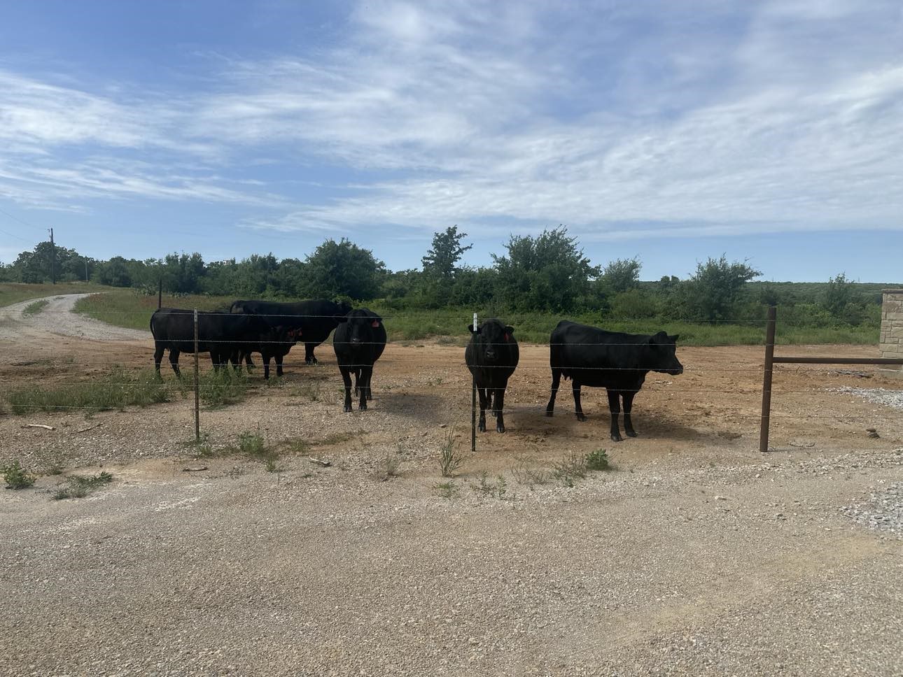 Lot 79 Paradise Oaks Perrin TX 76486