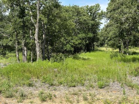 Lot 79 Paradise Oaks Perrin TX 76486