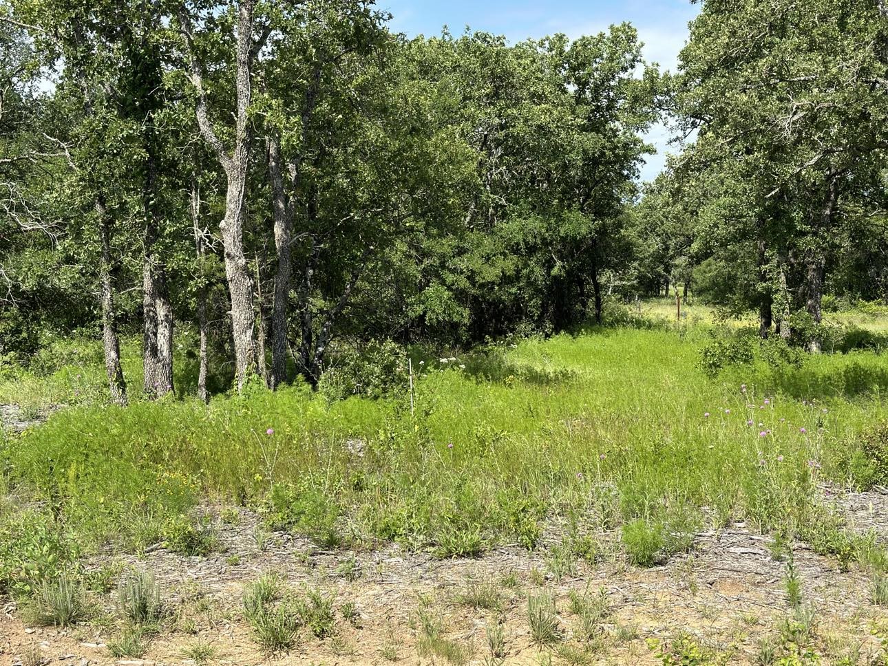 Lot 79 Paradise Oaks Perrin TX 76486