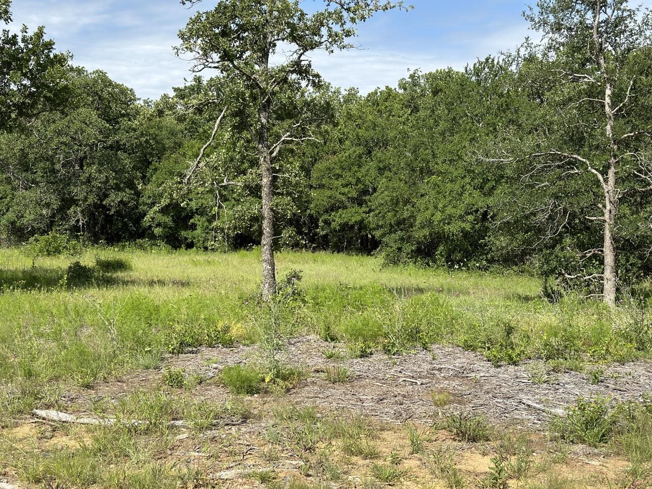 Lot 79 Paradise Oaks Perrin TX 76486