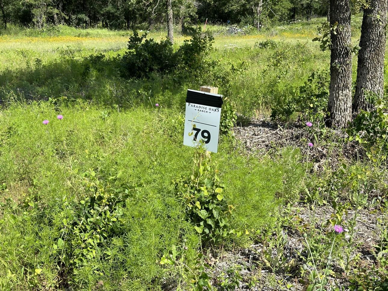 Lot 79 Paradise Oaks Perrin TX 76486