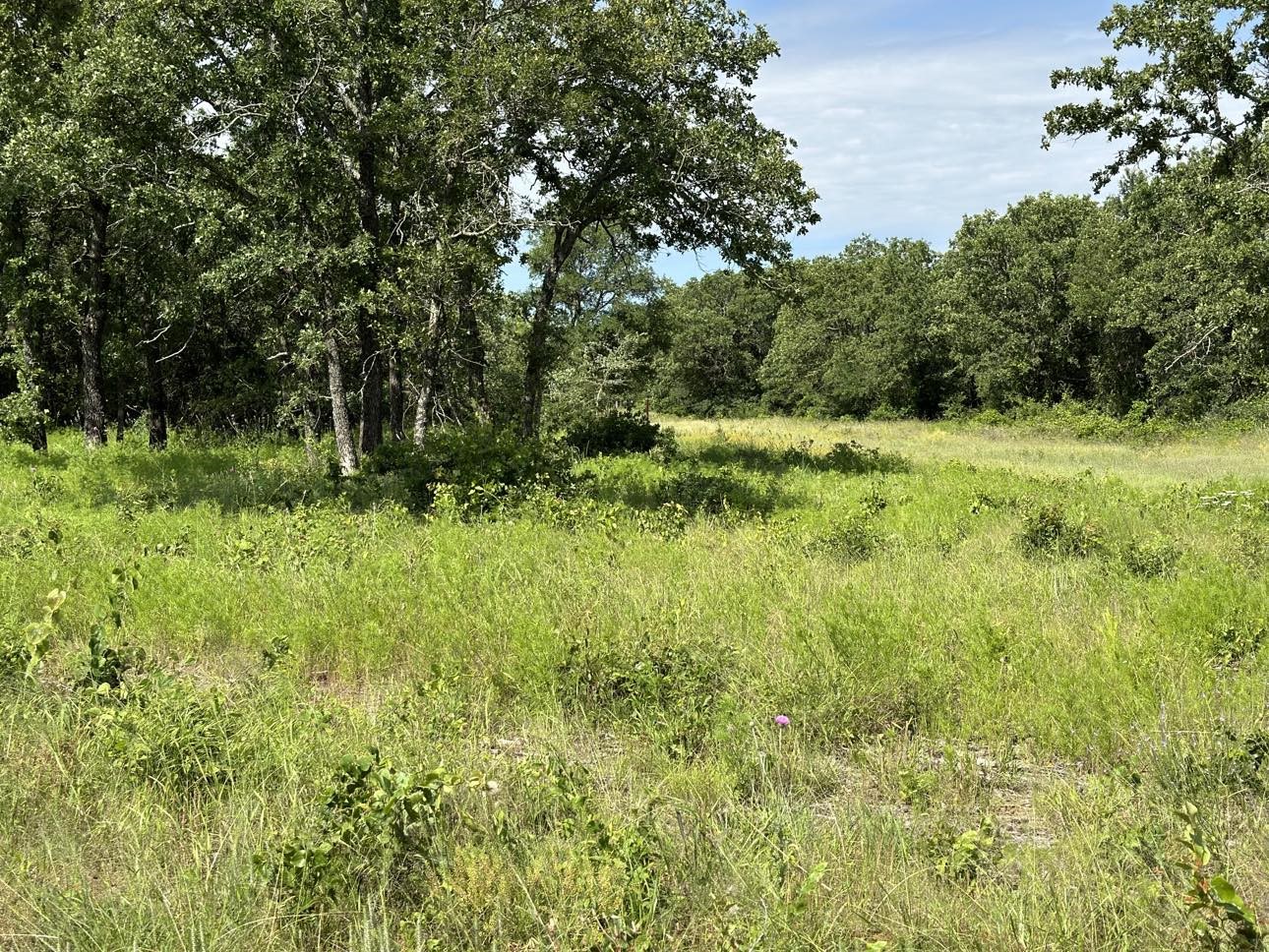 Lot 79 Paradise Oaks Perrin TX 76486