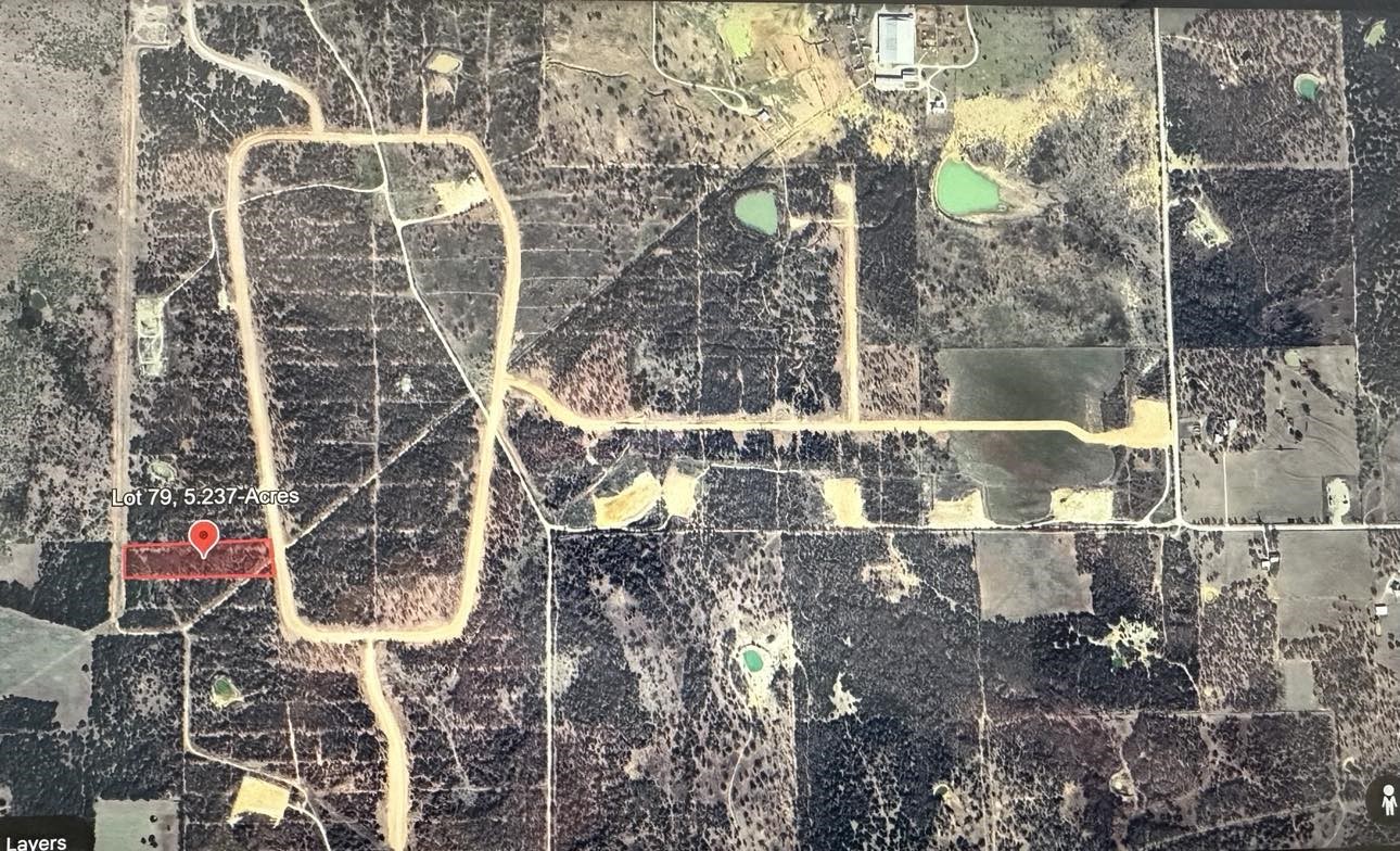 Lot 79 Paradise Oaks Perrin TX 76486