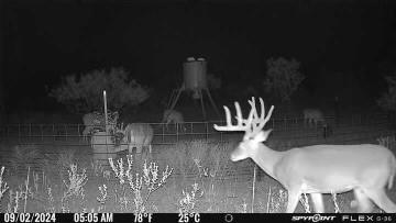 Tbd Cr 218 Seymour TX 76380
