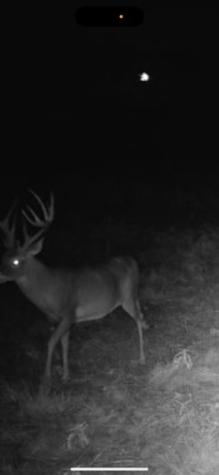Tbd Cr 218 Seymour TX 76380