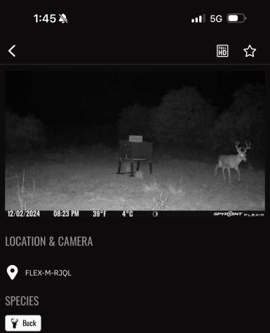 Tbd Cr 218 Seymour TX 76380