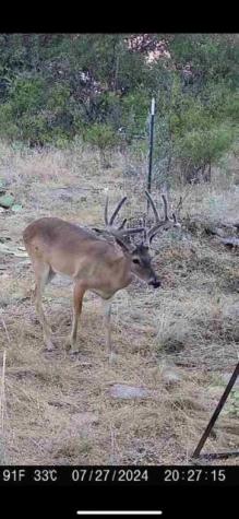 Tbd Cr 218 Seymour TX 76380