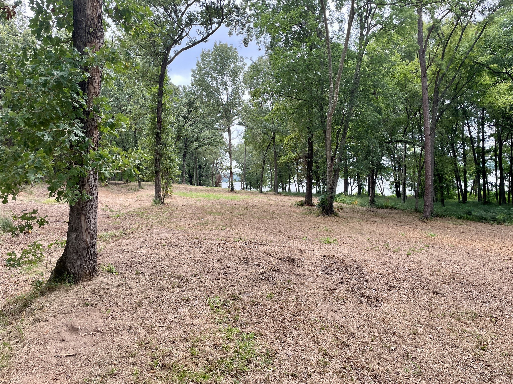 101 Sterling Shores Drive Scroggins TX 75480