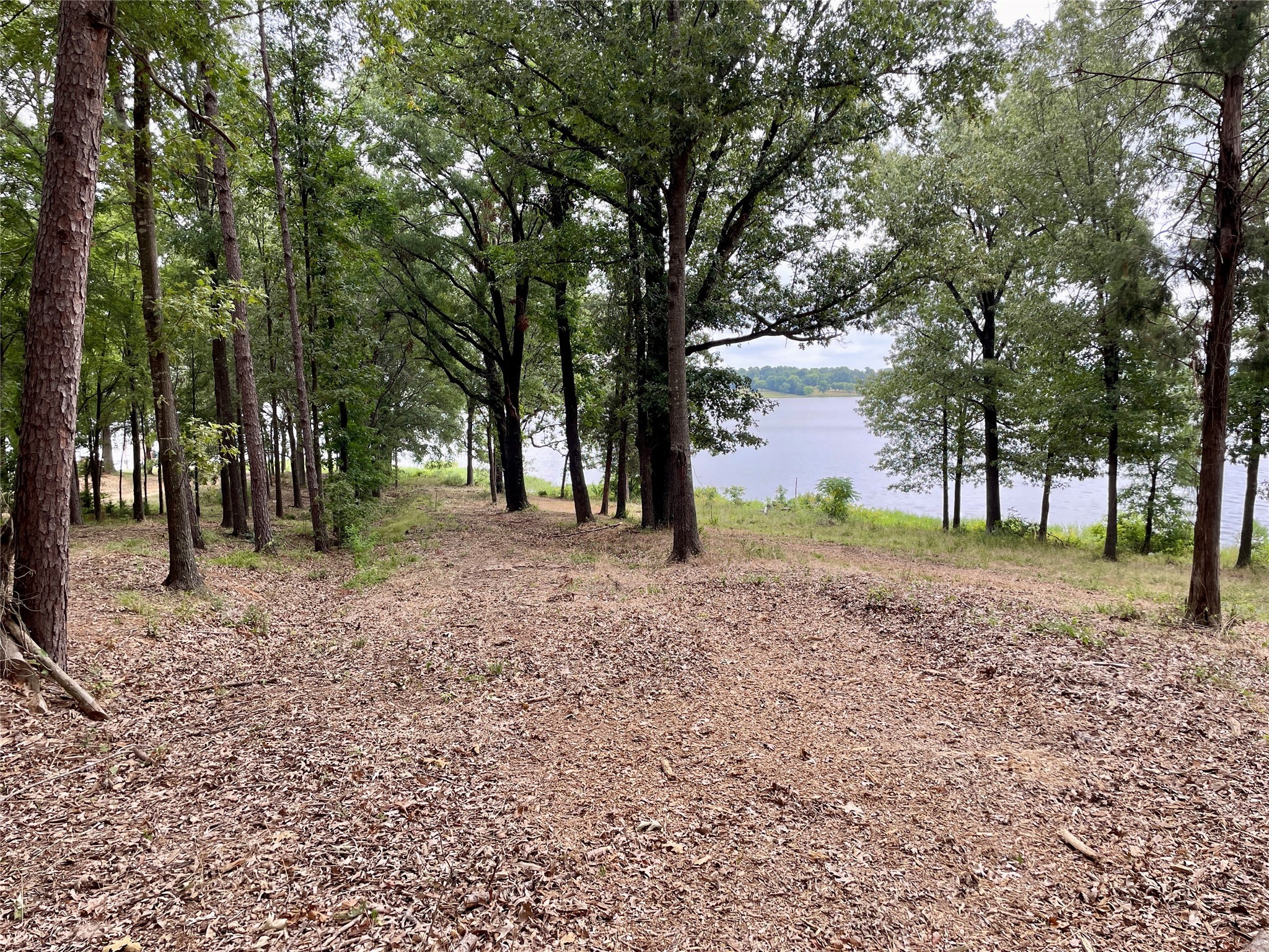 101 Sterling Shores Drive Scroggins TX 75480