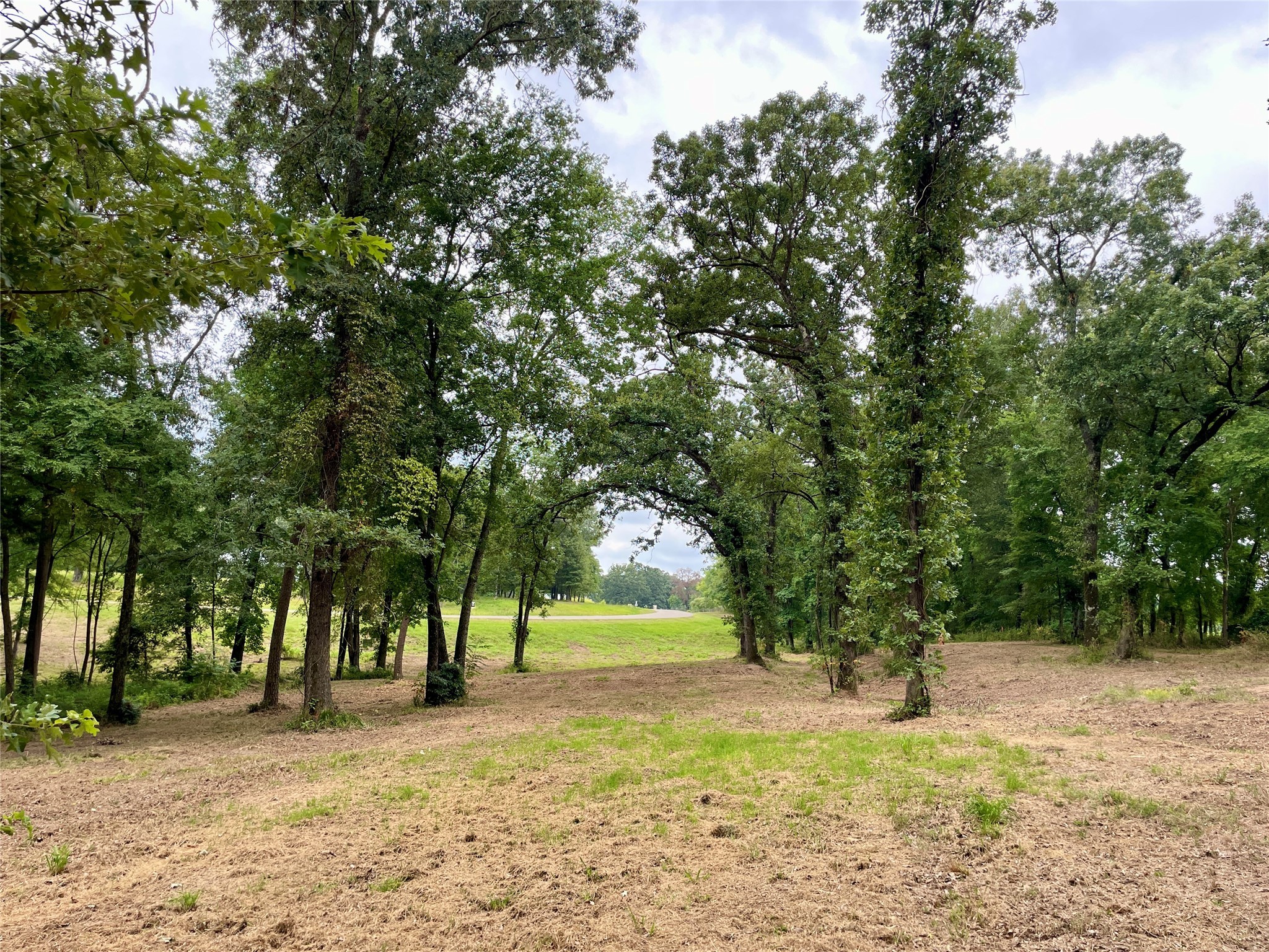 101 Sterling Shores Drive Scroggins TX 75480