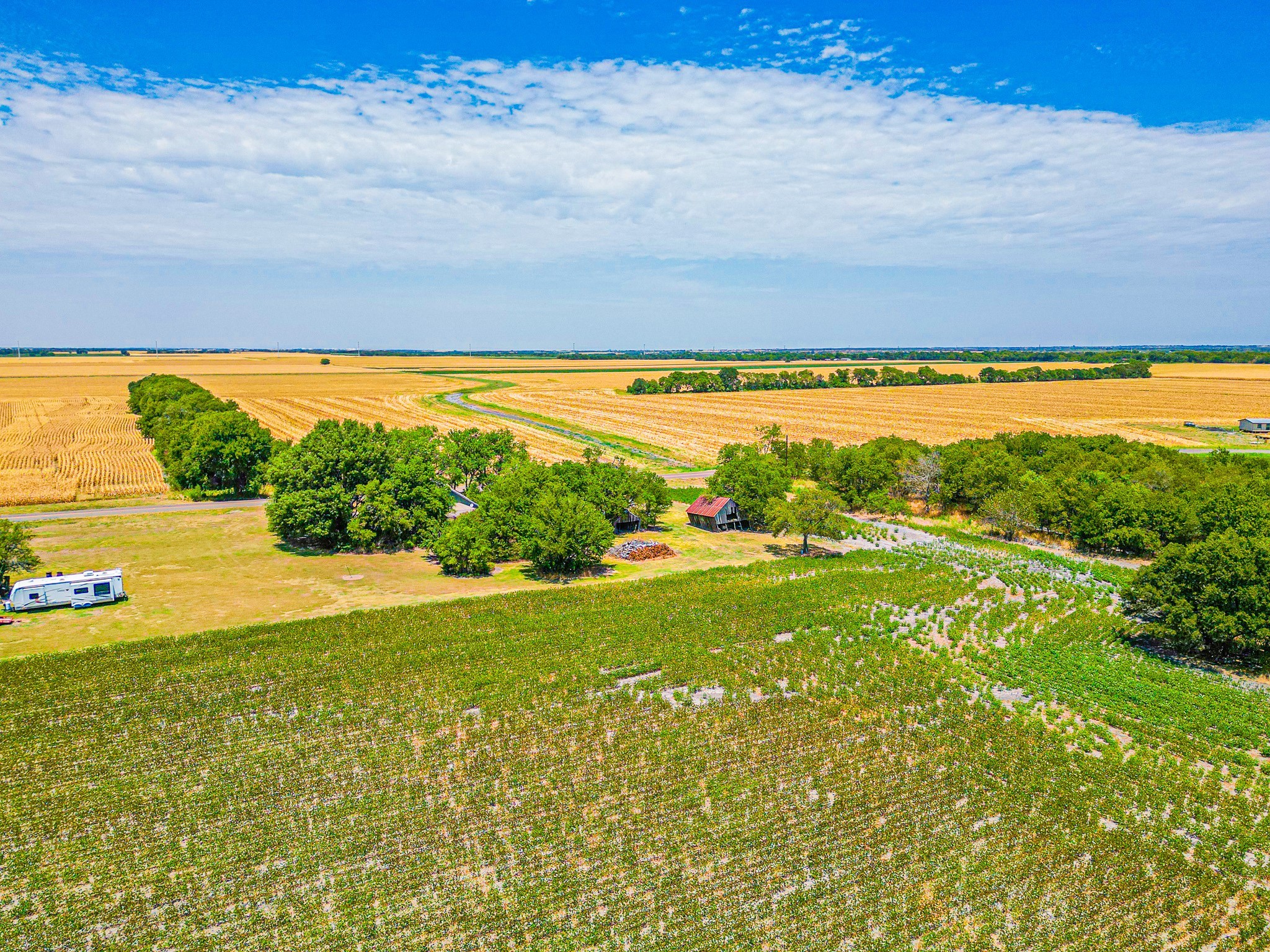 Tbd Fm 744 Malone TX 76660