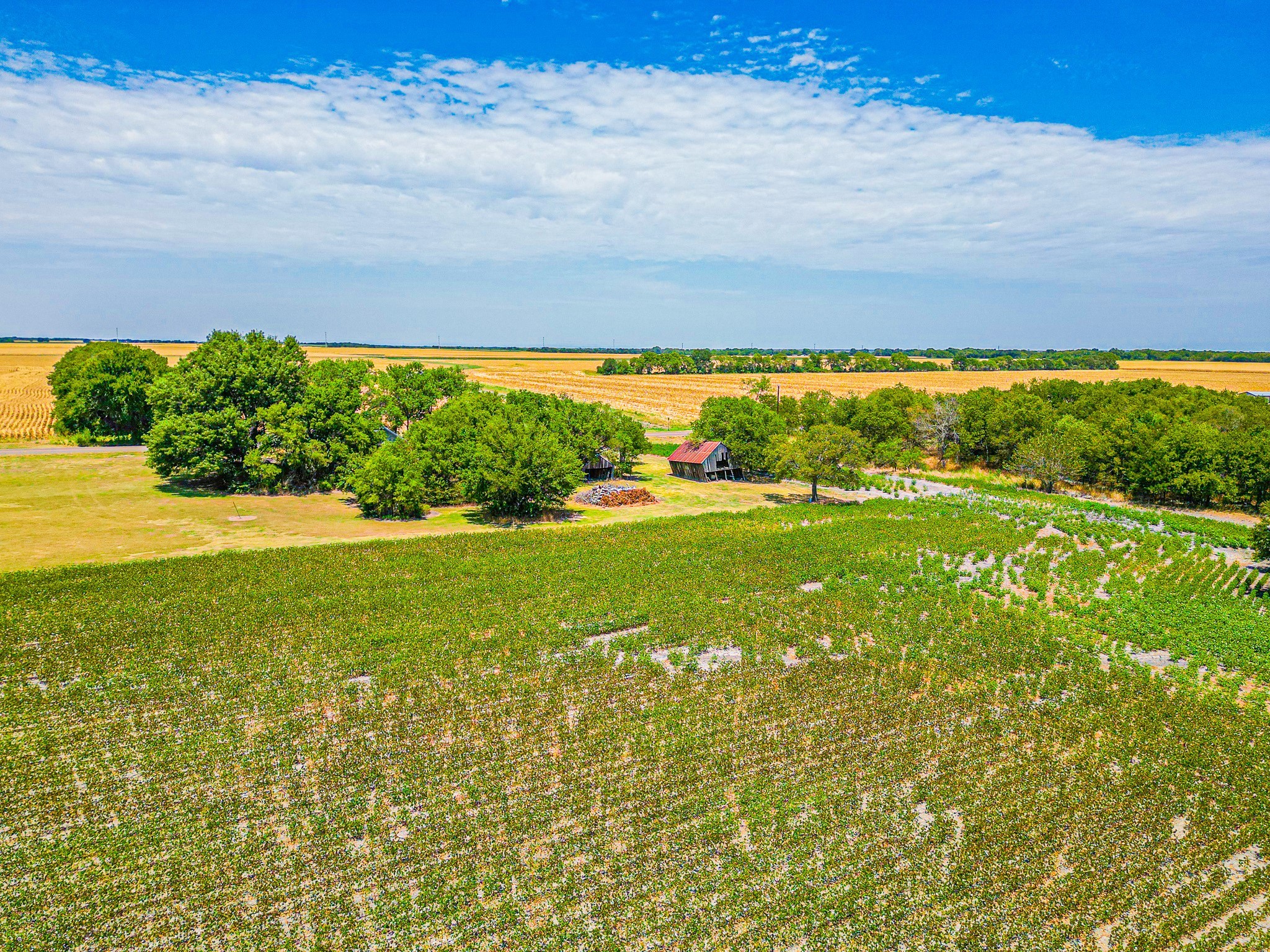 Tbd Fm 744 Malone TX 76660